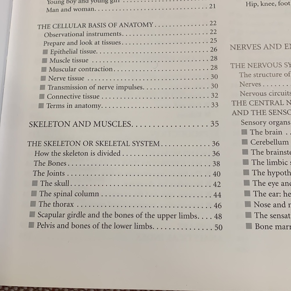 Anatomy Book - Picture 4 of 13
